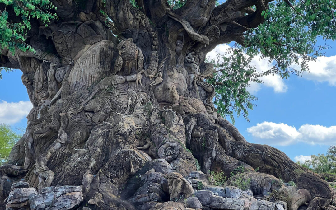 5 Best Rides To Take in Animal Kingdom