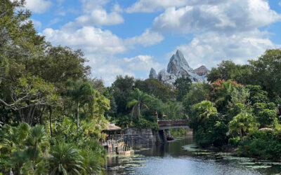 Best Rides at Animal Kingdom you don’t want to miss