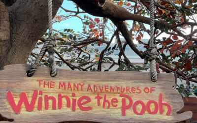 Many Adventures of Winnie the Pooh Magic Kingdom Disney World