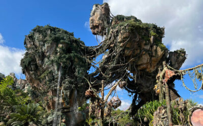 Top Attractions in Animal Kingdom